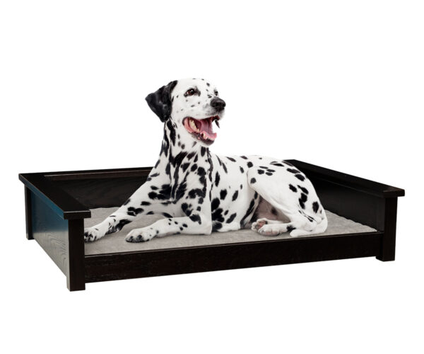 Parkin Large Pet Lounge with Pad