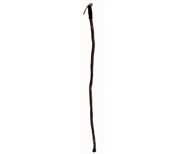 Hiker Cane